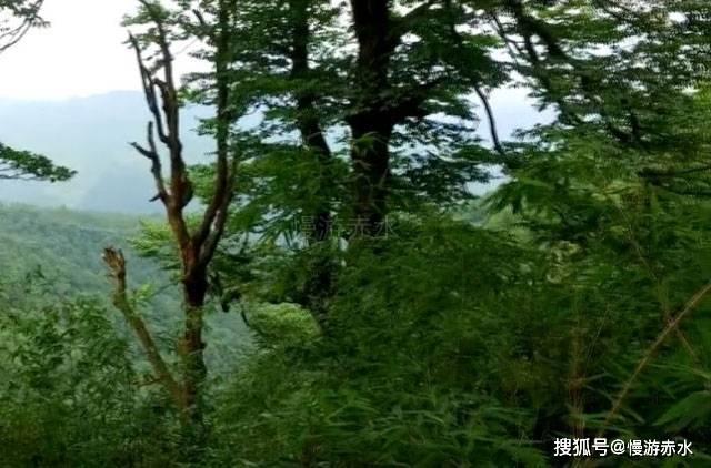 元气战姬学院