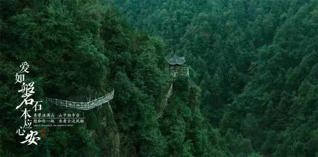 脑洞小老弟无实名认证