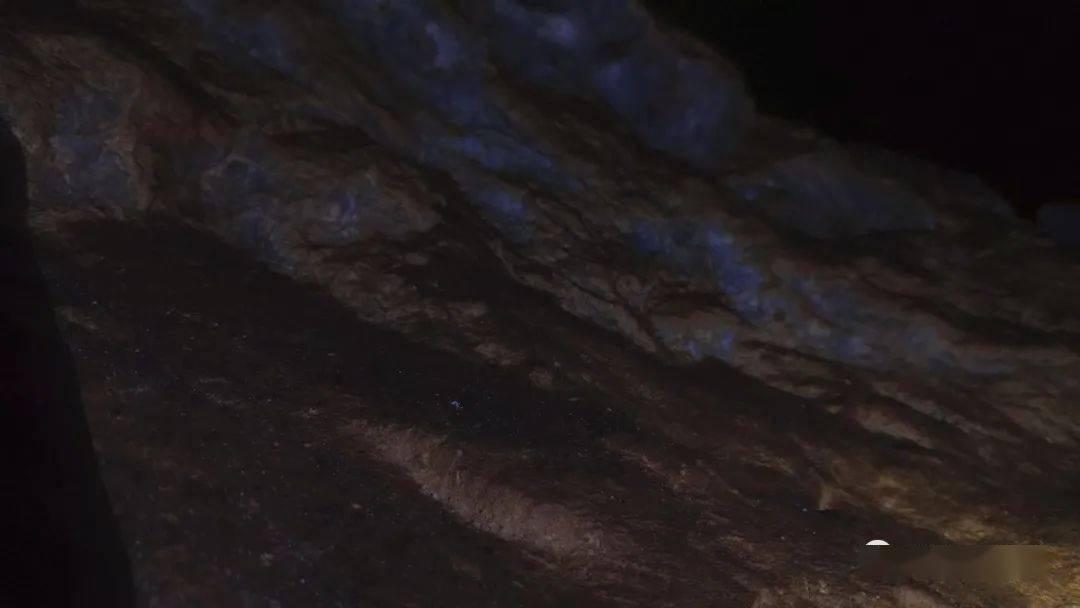 残酷的真相