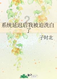 美妙夏季拼图