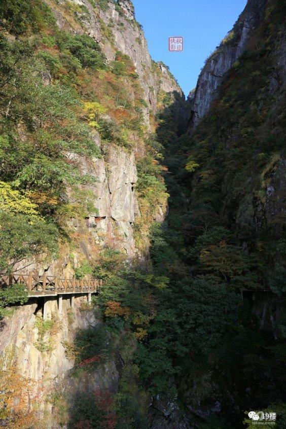 淘气兔救援